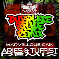 DubPlate Style - Aries & Tuffist Remix track artwork