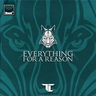 Everything For A Reason track artwork