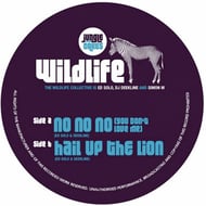 Hail Up The Lion track artwork