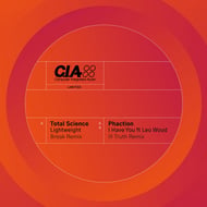 I Have You - Ill Truth Remix track artwork