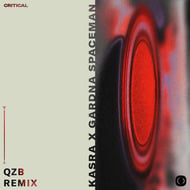 Spaceman - QZB Remix track artwork
