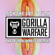 Phat Punani - Amplify Remix track artwork
