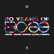 Magic Words - Levela Remix track artwork
