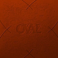 Anntower track artwork