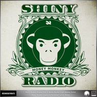 Money Monkey - Liquitek & Electrosoul System Remix track artwork