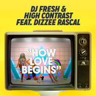 How Love Begins (feat. Dizzee Rascal) - Hardcore Will Never Die Edit track artwork
