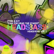 Can You Hear The Stars? track artwork