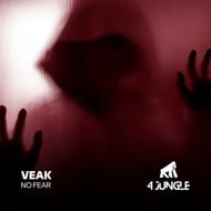 No Fear track artwork