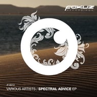 Spectral Advice - Original Mix track artwork