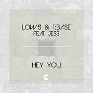 Hey You - VIP track artwork
