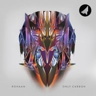 No Ligaments, Just Carbon - Noer the Boy Remix track artwork