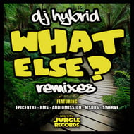 What Else - RMS Remix track artwork