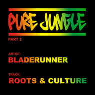 Roots & Culture track artwork