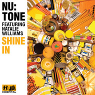 Shine In track artwork