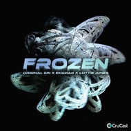 Frozen track artwork