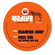 Pass Out - Will Streetwise Remix track artwork