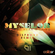 It Don't Mean A Thing - Disprove Remix track artwork