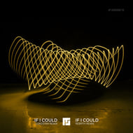 If I Could - REBRTH Remix track artwork
