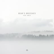 Bear's Breeches track artwork