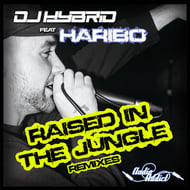 Raised In The Jungle - Bou Remix track artwork