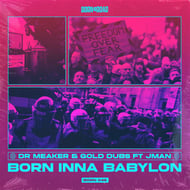 Born Inna Babylon track artwork
