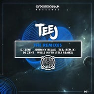 Wills Myth - Teej Remix track artwork