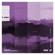 Shamane - Wingz Remix track artwork