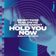 Hold You Now - SubLow Hz Remix track artwork