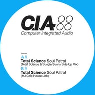 Soul Patrol - MJ Cole House Lick track artwork