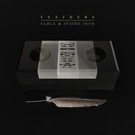Feathers track artwork
