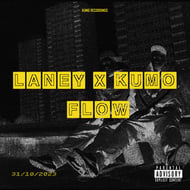 Flow track artwork