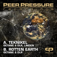 Rotten Earth track artwork