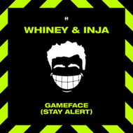 Game Face (Stay Alert) track artwork