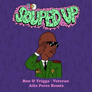 Veteran - Alix Perez Remix track artwork