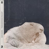 Dead Already track artwork