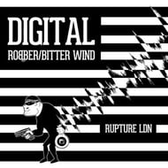 Bitter Wind track artwork
