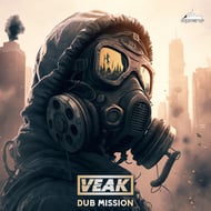 Dub Mission track artwork
