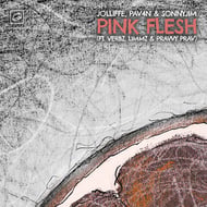 Pink Flesh track artwork
