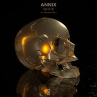 Ignite track artwork
