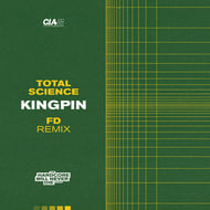 Kingpin - FD Remix track artwork