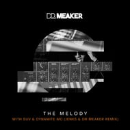 The Melody - Jenks & Dr Meaker Remix track artwork