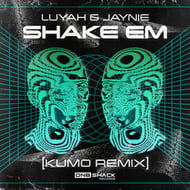 Shake Em - Kumo Remix track artwork
