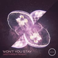 Won't You Stay - Mistabishi Remix track artwork