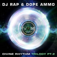 Divine Rhythm Trilogy, Pt. 2 - Euphoric Remix track artwork
