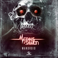 Mandroid track artwork