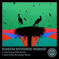 Lake Escape - Flite Remix track artwork