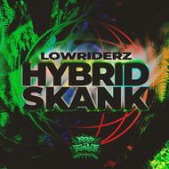 Hybrid Skank - VIP Mix track artwork