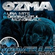 Disgraceful Mongreals track artwork