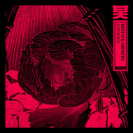 Shimmer track artwork