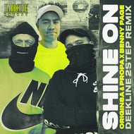 Shine On - Deekline 2Step Remix track artwork